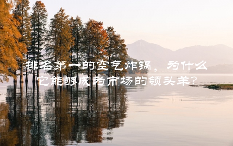 排名第一的空气炸锅，为什么它能够成为市场的领头羊？
