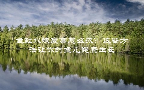鱼缸水碱度高怎么办？这些方法让你的鱼儿健康生长