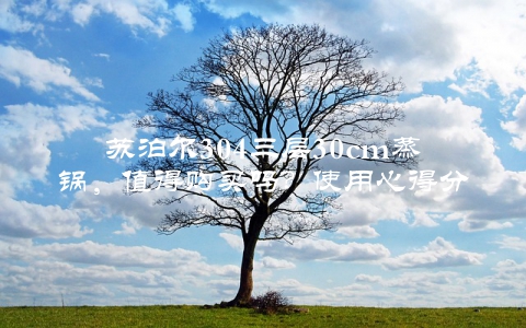 苏泊尔304三层30cm蒸锅，值得购买吗？使用心得分享