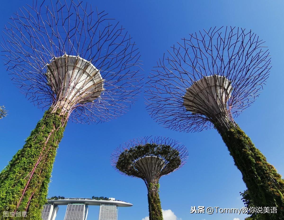 15秒记一个单词（第1596个）impression