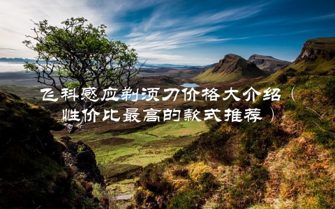 飞科感应剃须刀价格大介绍（性价比最高的款式推荐）