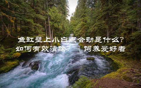 鱼缸壁上小白点会动是什么？如何有效清除？（饲养爱好者必看）