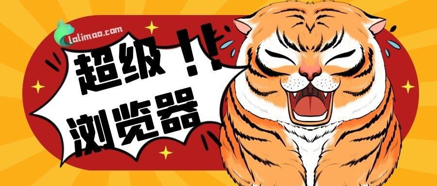 超级浏览器是什么,超级浏览器用来干什么