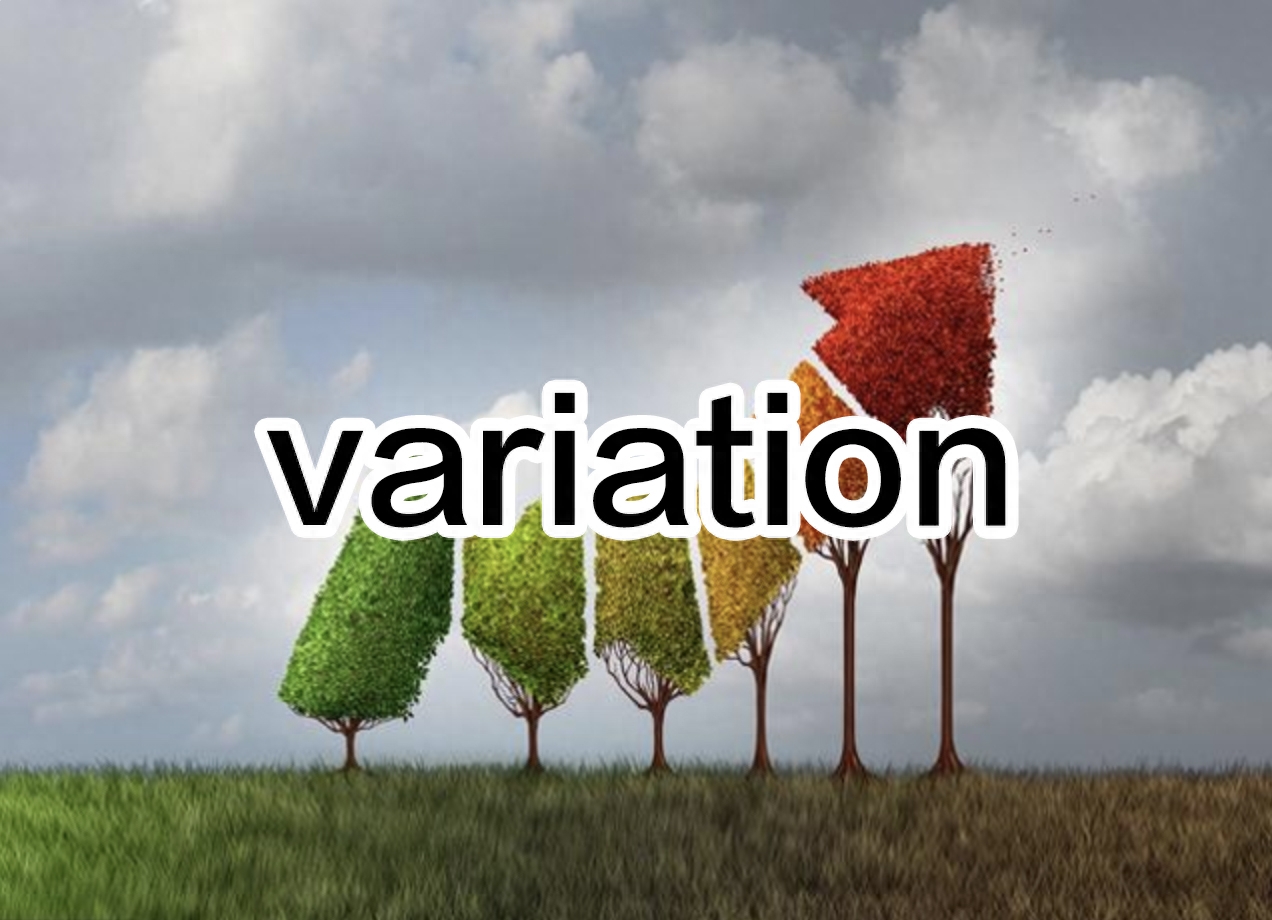 随时随地记单词,今日学习:variation