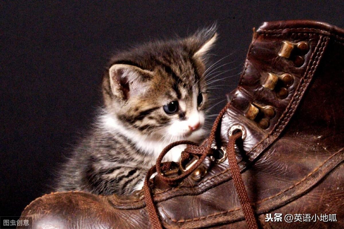 正在自学英语的你：shoe==鞋子？