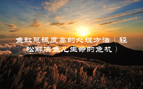 鱼缸总碱度高的处理方法（轻松解决鱼儿生命的危机）