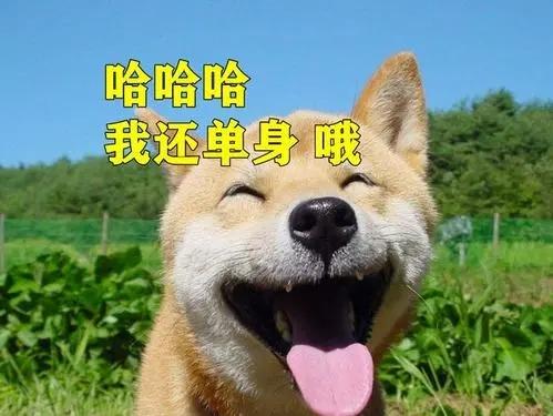 陌陌的各种术语（陌陌怎么找小组的价格）