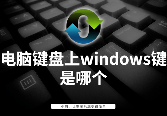 电脑键盘上windows键是哪个