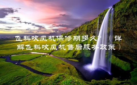 飞科吹风机保修期多久？（详解飞科吹风机售后服务政策）