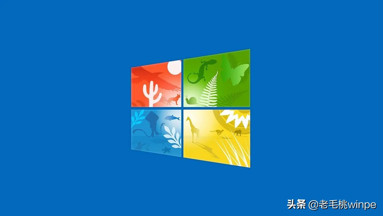 win10怎样关闭后台的应用（win10强制关闭程序快捷键）