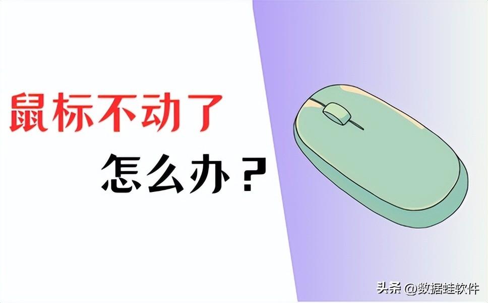 鼠标不动了怎么办?3招解决问题!