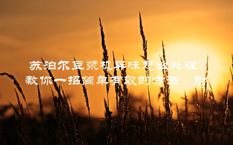 苏泊尔豆浆机异味怎么处理？教你一招简单有效的方法（附视频教学）