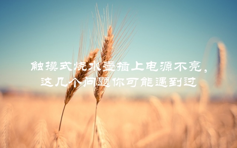 触摸式烧水壶插上电源不亮，这几个问题你可能遇到过