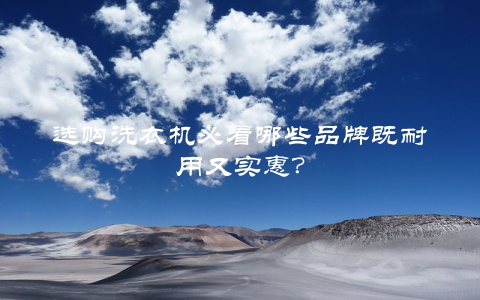 选购洗衣机必看哪些品牌既耐用又实惠？
