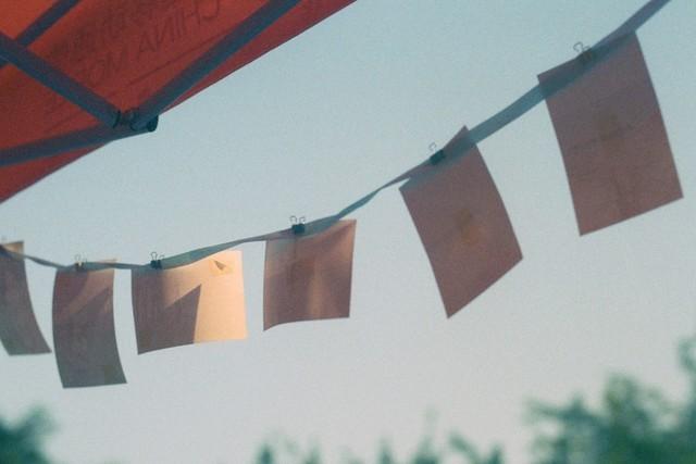 盘点好用的照片打印机 这几款值得入手