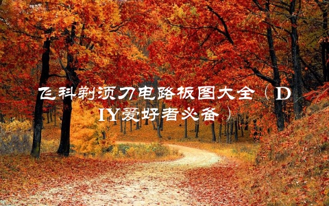 飞科剃须刀电路板图大全（DIY爱好者必备）