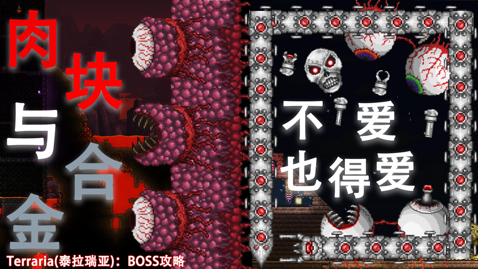 泰拉瑞亚暗影之魂怎么获得（泰拉瑞亚暗影之魂打什么会掉）