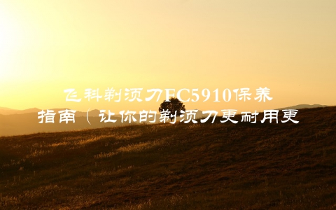 飞科剃须刀FC5910保养指南（让你的剃须刀更耐用更舒适）