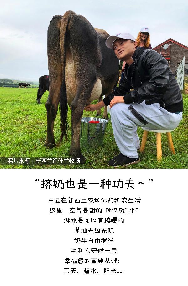 天猫盒马包下一座“新西兰的奶牛天堂” 鲜奶72小时直达