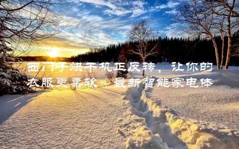 西门子烘干机正反转，让你的衣服更柔软（最新智能家电体验分享）
