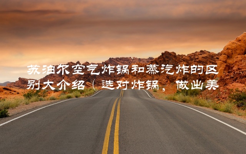 苏泊尔空气炸锅和蒸汽炸的区别大介绍（选对炸锅，做出美味不是问题）