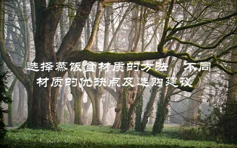 选择蒸饭盒材质的方法（不同材质的优缺点及选购建议）