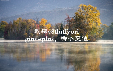 戴森v8fluffyorigin和plus，哪个更值得购买？（详细对比分析）