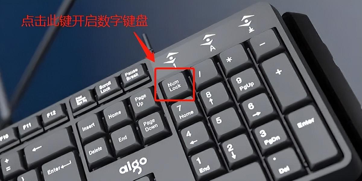 电脑打不出1-9数字 应该怎么解决