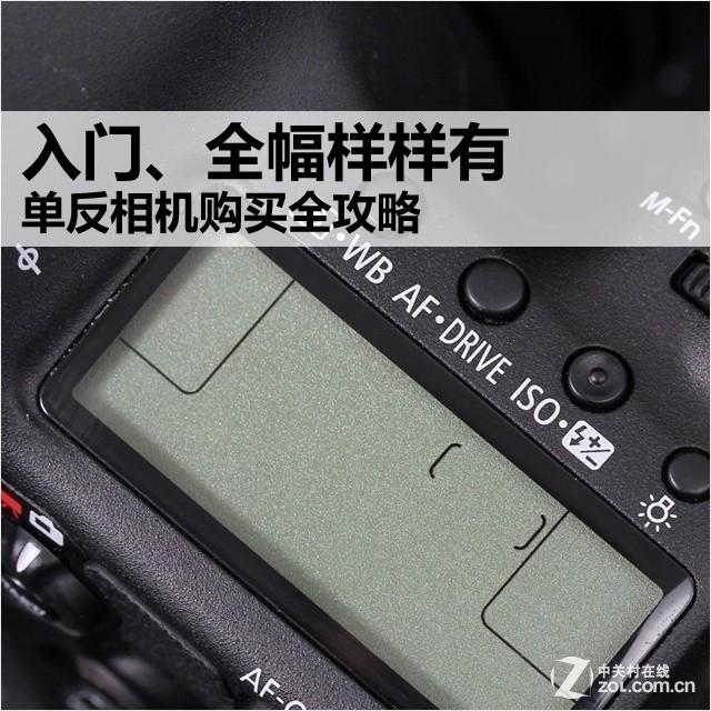 入门、全幅样样有 单反相机购买全攻略
