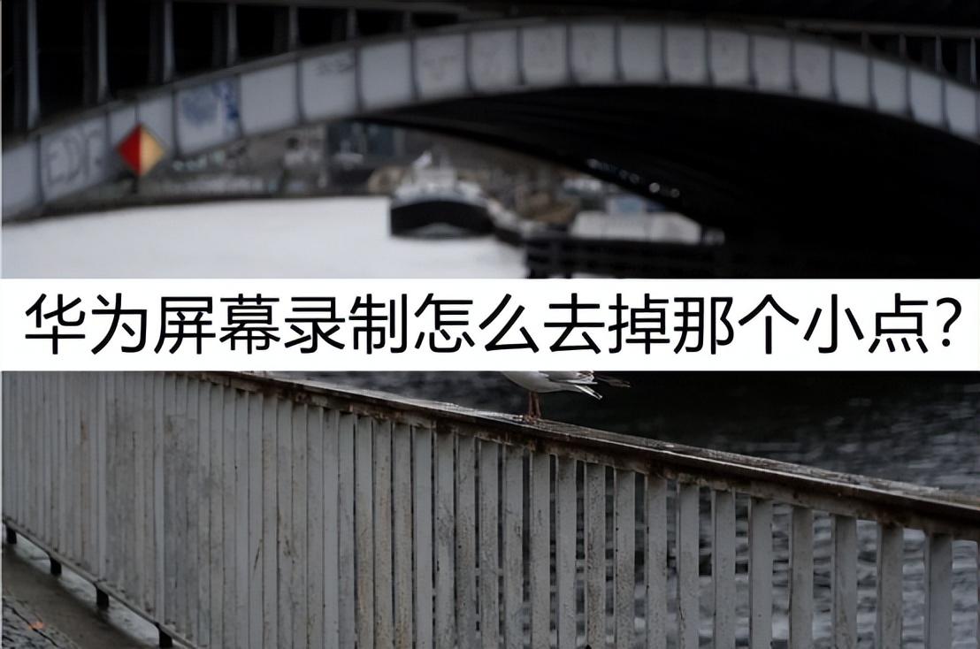 华为屏幕录制怎么去掉那个小点?试试这个去除方法