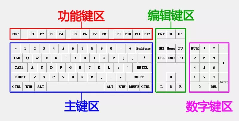 电脑新手最关心的：零基础如何快速掌握电脑打字的技巧？