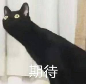 完了！这台满血小屏旗舰，以后真没有了？