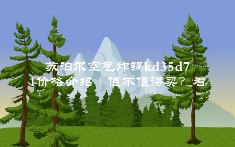 苏泊尔空气炸锅kd35d71价格介绍（值不值得买？看完这篇就知道了）