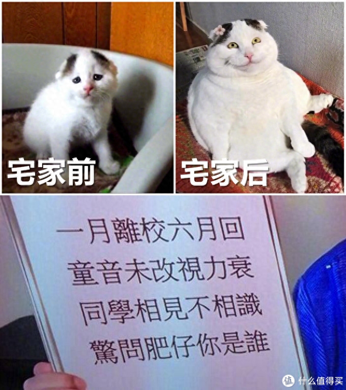 4K 万元旗舰电视究竟好在哪里?索尼 X9500H 详细体验告诉你