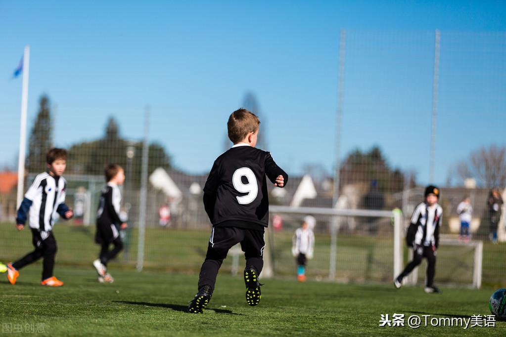 15秒记一个单词（第2802个）substitute