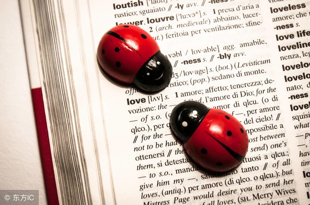 20秒记一个英语单词:default