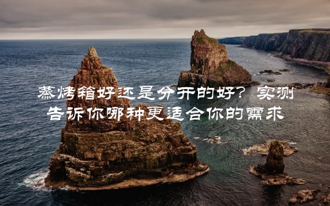 蒸烤箱好还是分开的好？实测告诉你哪种更适合你的需求
