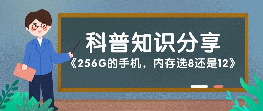 256G的手机,内存选8还是12