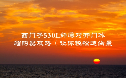 西门子530L纤薄对开门冰箱购买攻略（让你轻松选出最适合的款式）