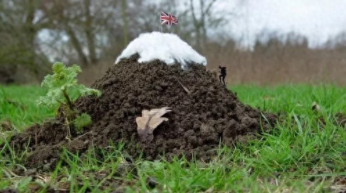 “小题大做”的英文表达你会吗?