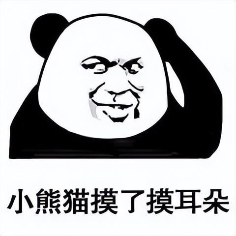 6款相见恨晚的高质量电脑PC软件,我真是爱了