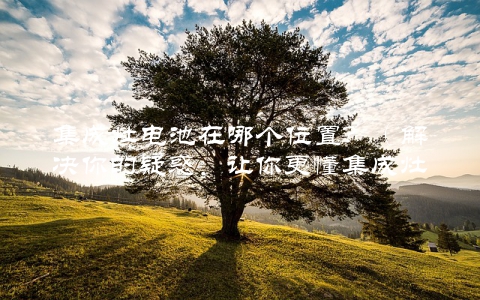 集成灶电池在哪个位置？（解决你的疑惑，让你更懂集成灶）