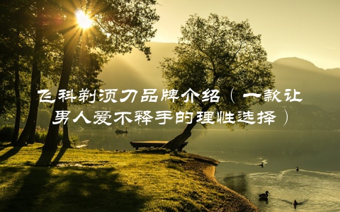飞科剃须刀品牌介绍（一款让男人爱不释手的理性选择）