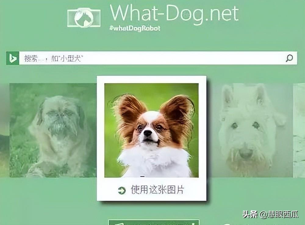 自媒体找图技巧（持续更新中）