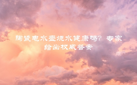 陶瓷电水壶烧水健康吗？专家给出权威答案