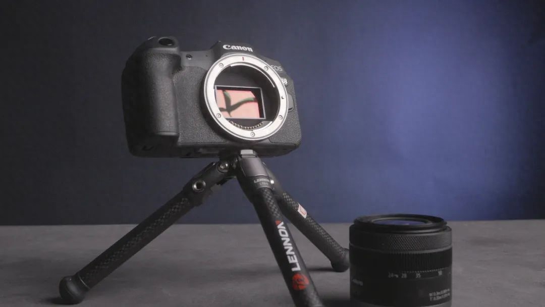 全画幅、一万元,佳能可否交出满意答卷?佳能EOS R8测评