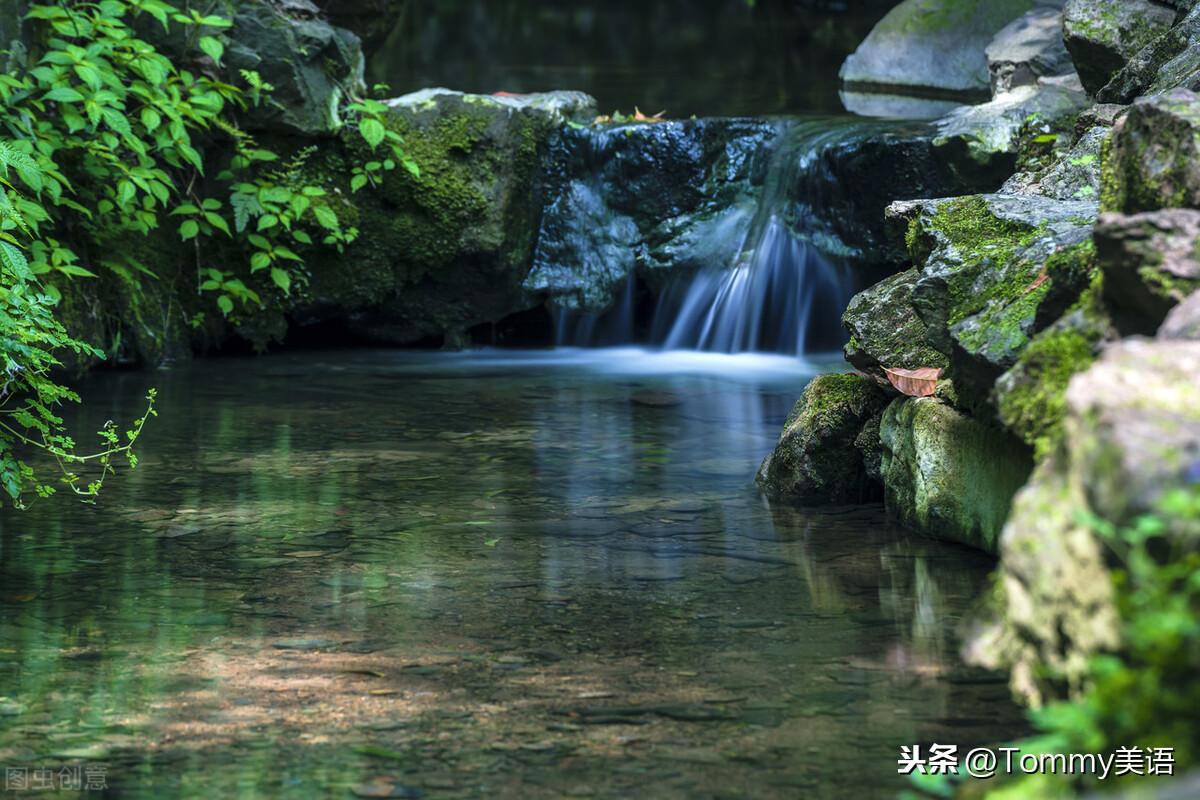 15秒记一个单词（第3159个）paddle