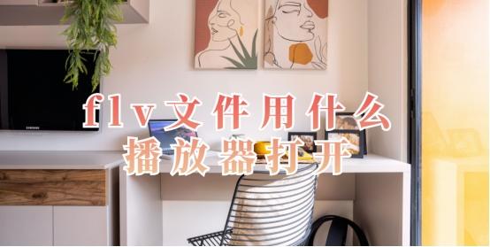 flv文件用什么播放器打开，这样做不踩雷！