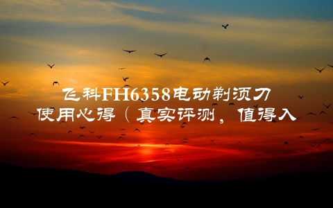飞科FH6358电动剃须刀使用心得（真实评测，值得入手吗？）
