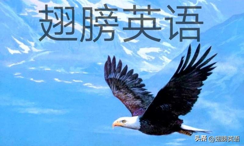 gigantic，enormous，vast，immense和tremendous等用法